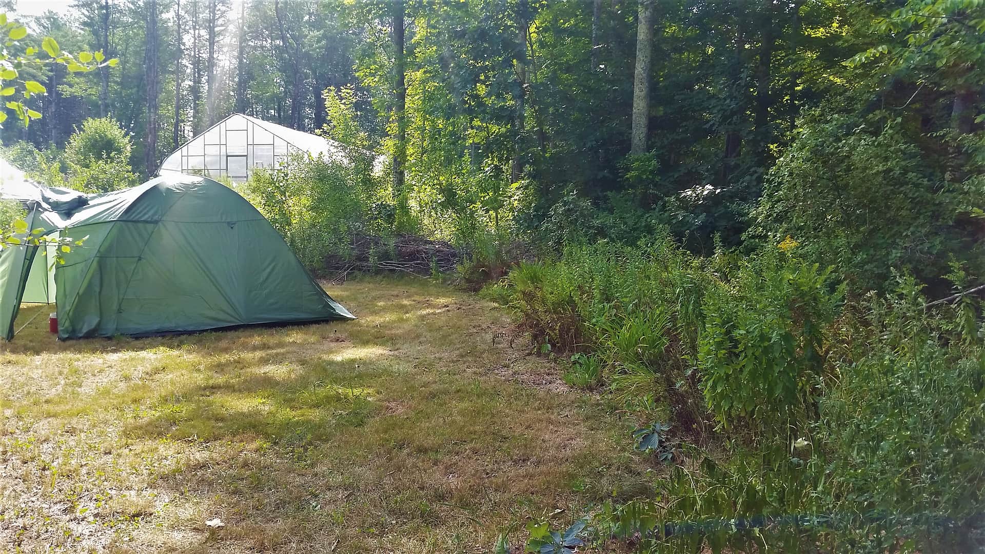 Site 1 on a late-summer afternoon