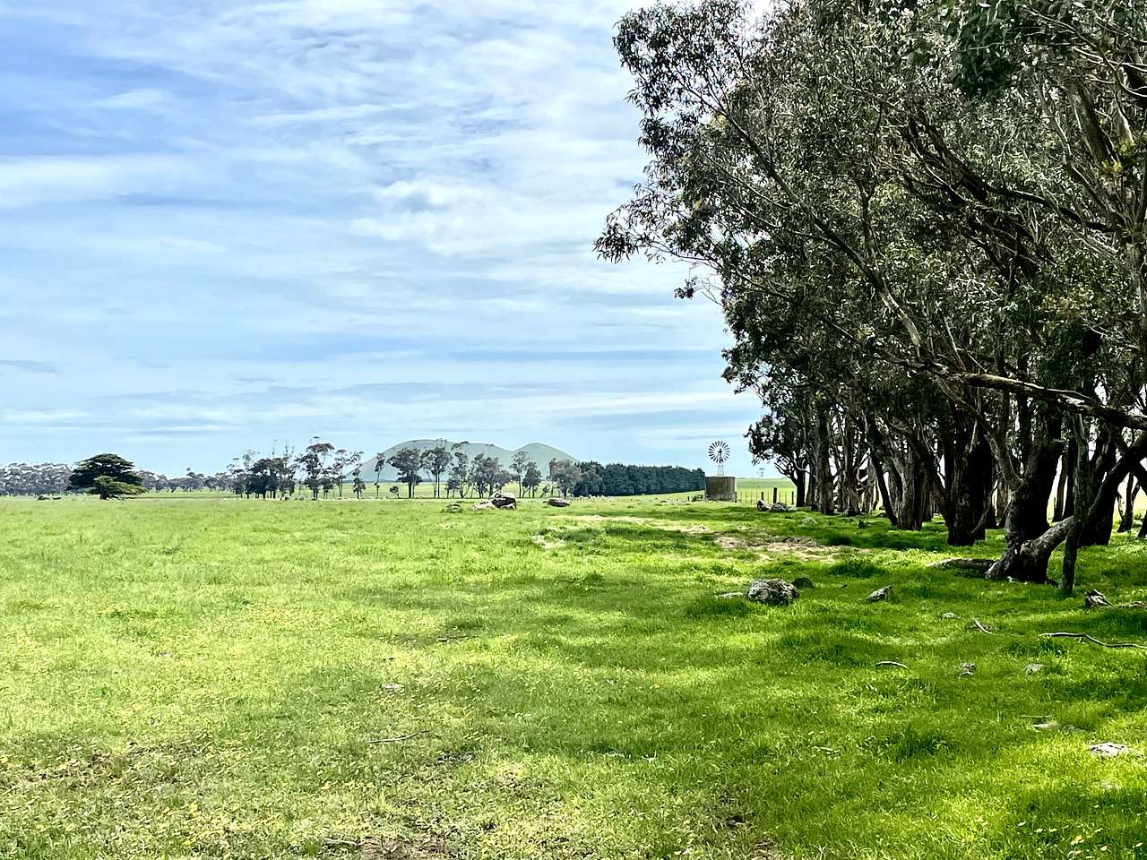 Larra Estate