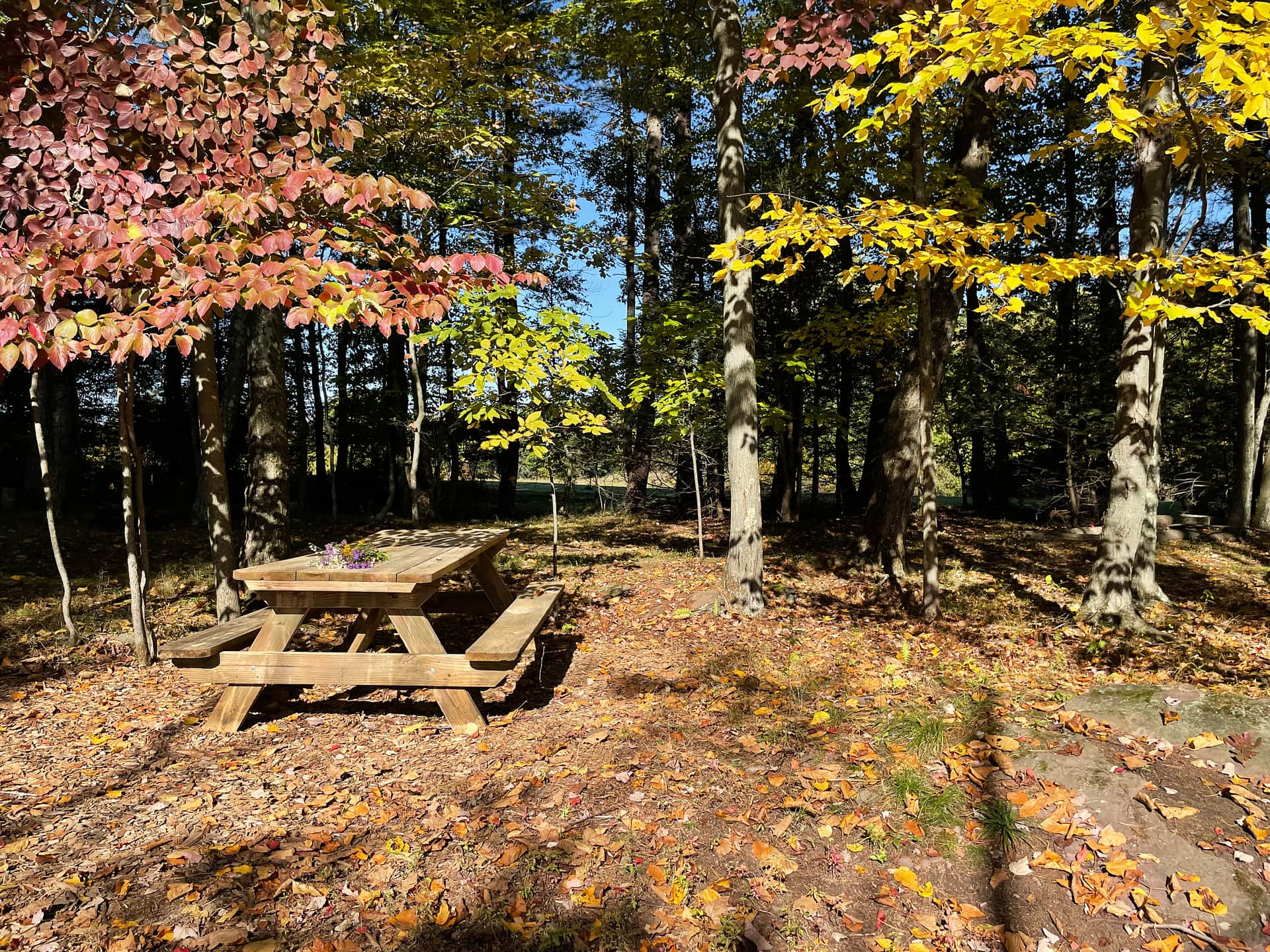 CampsiteDiscGolf @ HighHorizonsFarm