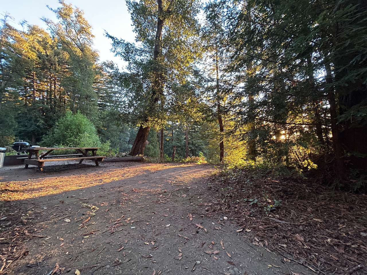 Mornings at Fern Ridge Flats