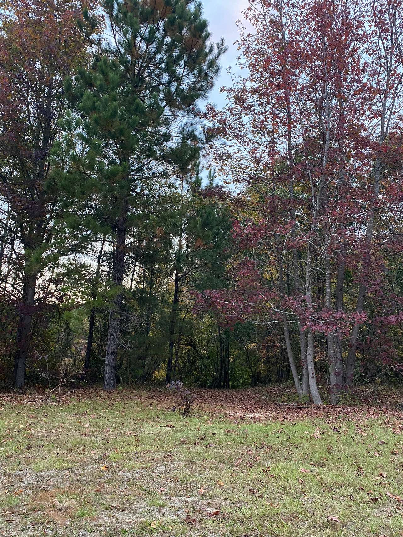 Scott’s Lakeview Camp and Park