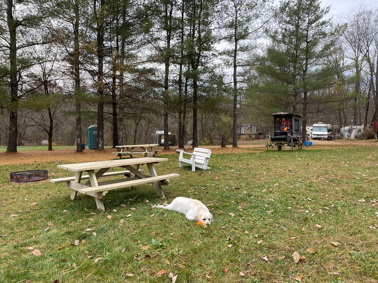 Picture of the site