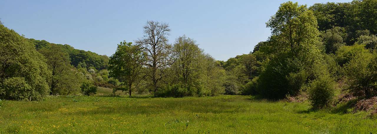 Aldridge Mill