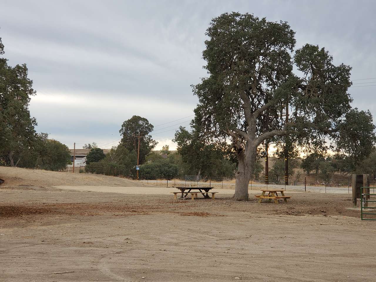Site 1 and 2 offer a road base pad, just beyond the tree.