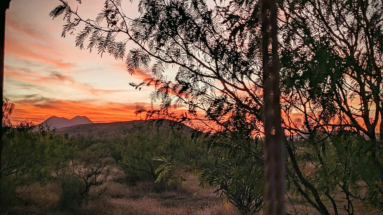 Cholla Ranch Camp, Glamping Tents