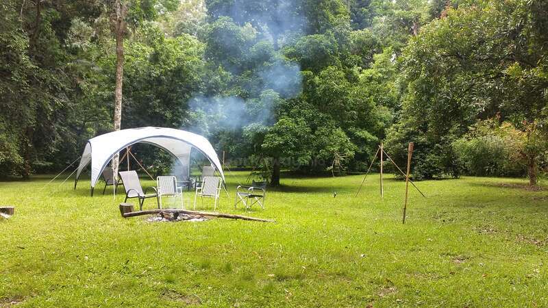 Bush Tucker orchard