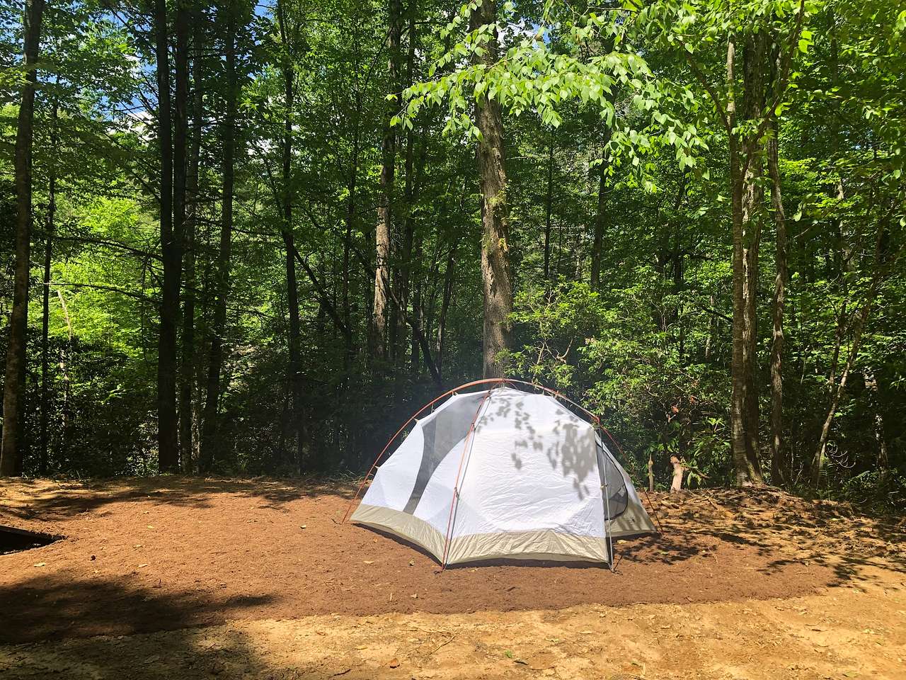 During the summer months the site is shaded in the morning and mostly sunny in the afternoon.