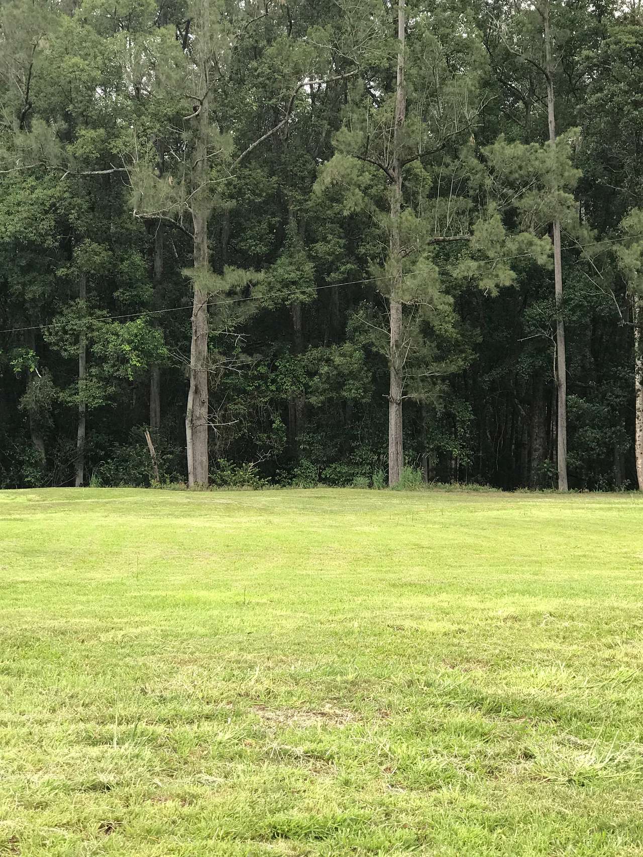 Crystal Creek Springs