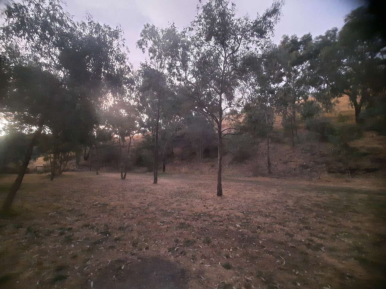 Camp Toondilla (Clarendon SA)