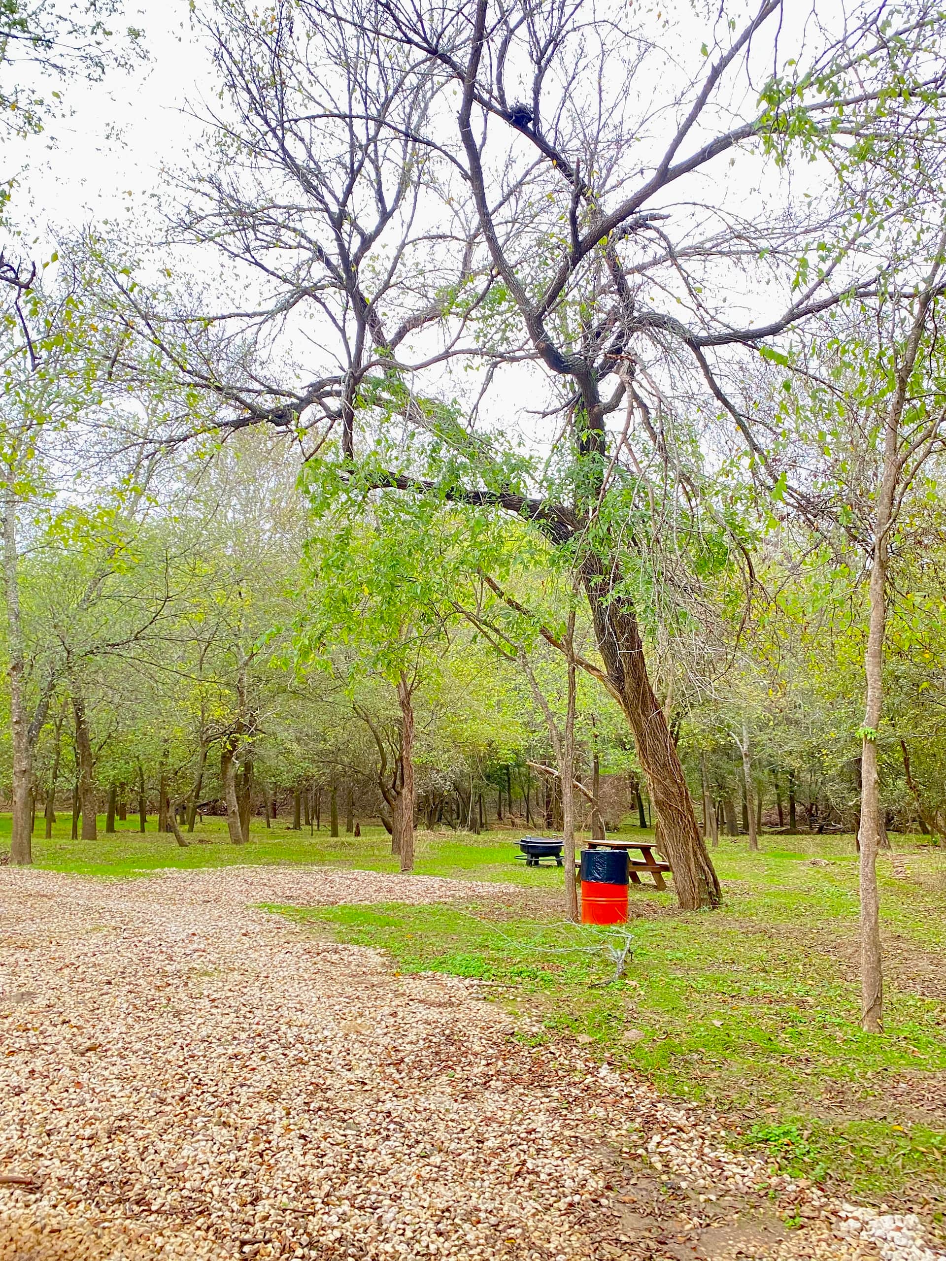 🏕️ site #3 PRIVATE Tucked into the woods a bit but just feet from the riverbank and the community bathhouse!! This Is A Pic Of SITE 3 The following pics reflect the entire camp views