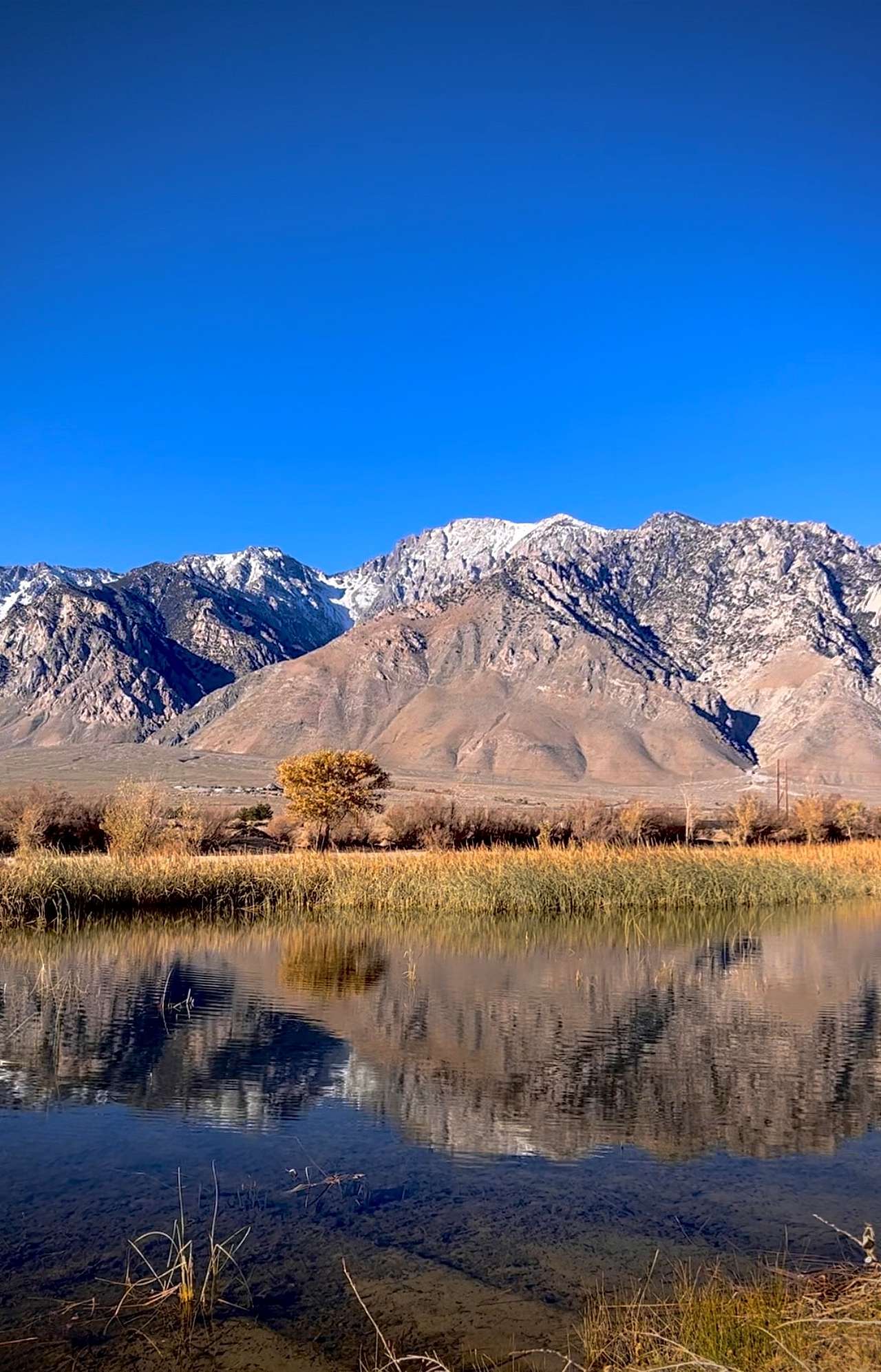 Lake Olancha RV Park Campground