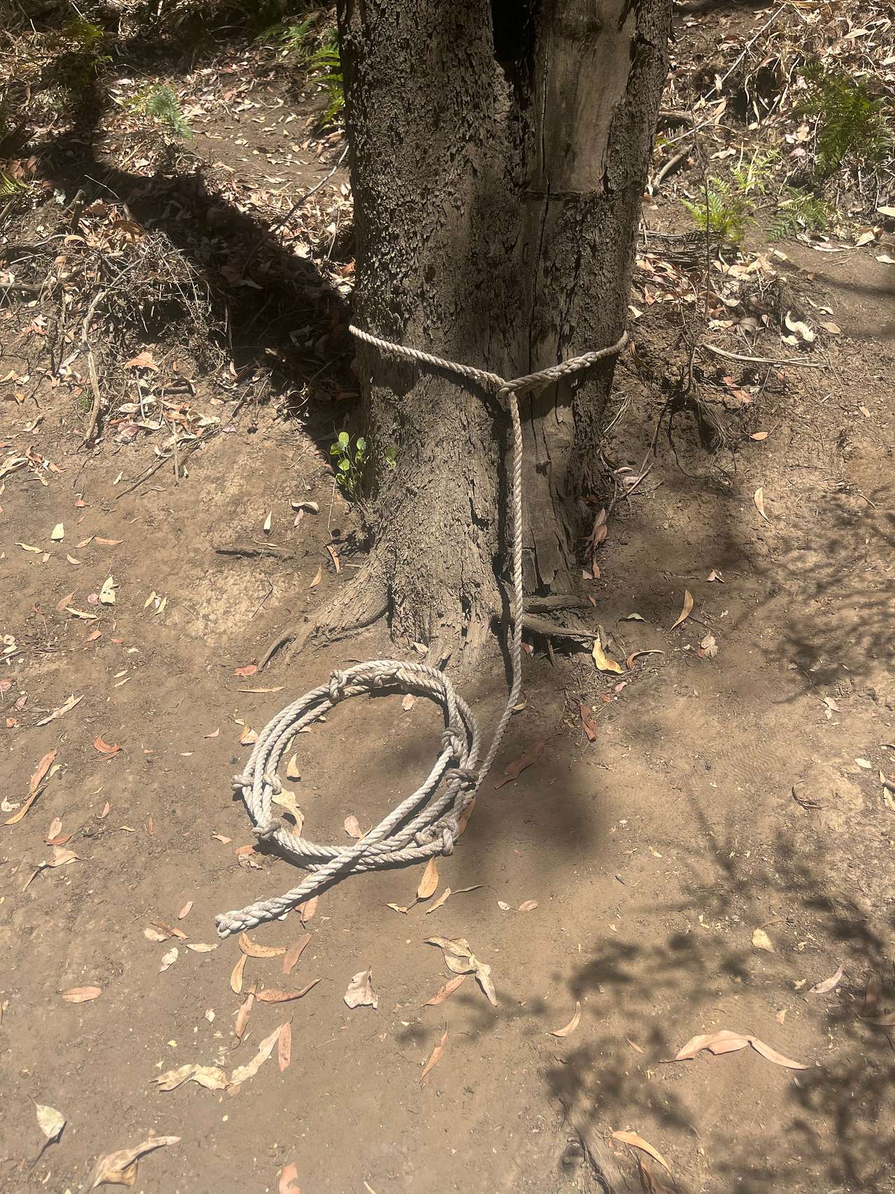 Helps getting out when the bank is wet, dont forget to chuck it in the water before you jump in. We suggest you have a look where the logs and branches are under water before you get in and the water gets muddied.