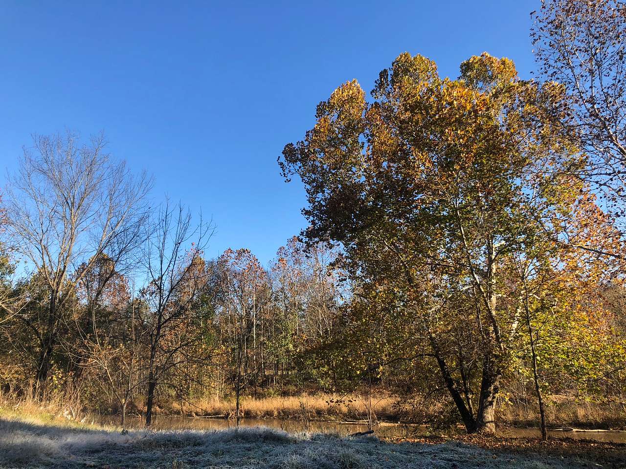 View more photos of Saco Valley Farm, LLC