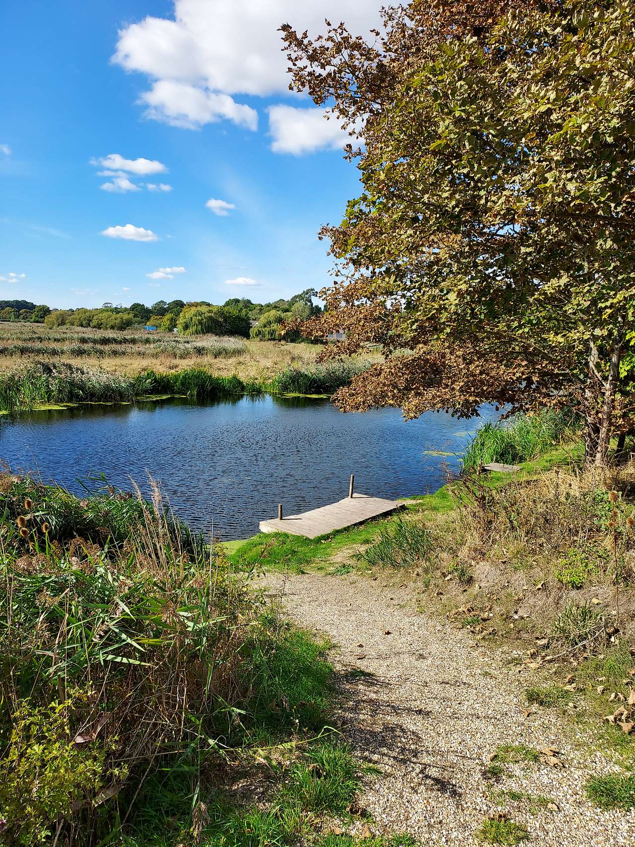 Constable Park