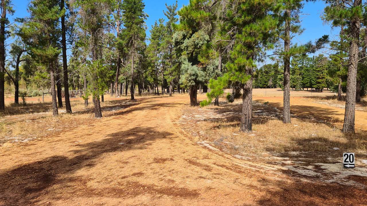 Little Eeden Farm Pine Camp