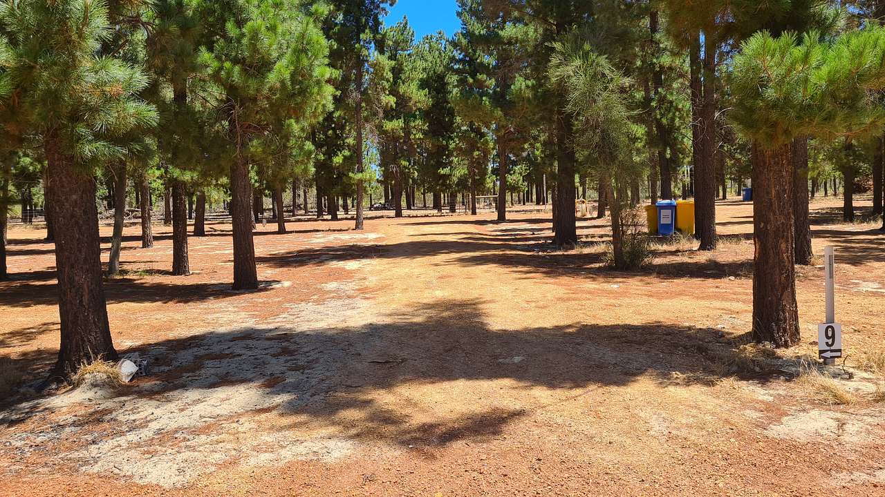 Little Eeden Farm Pine Camp
