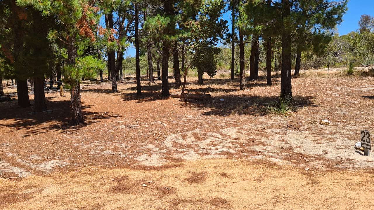 Little Eeden Farm Pine Camp