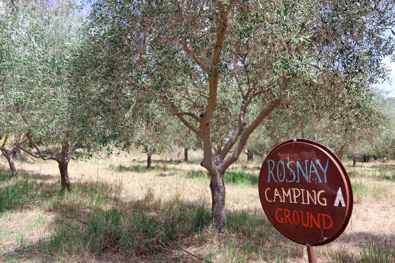Camping in the Rosnay Olive Grove