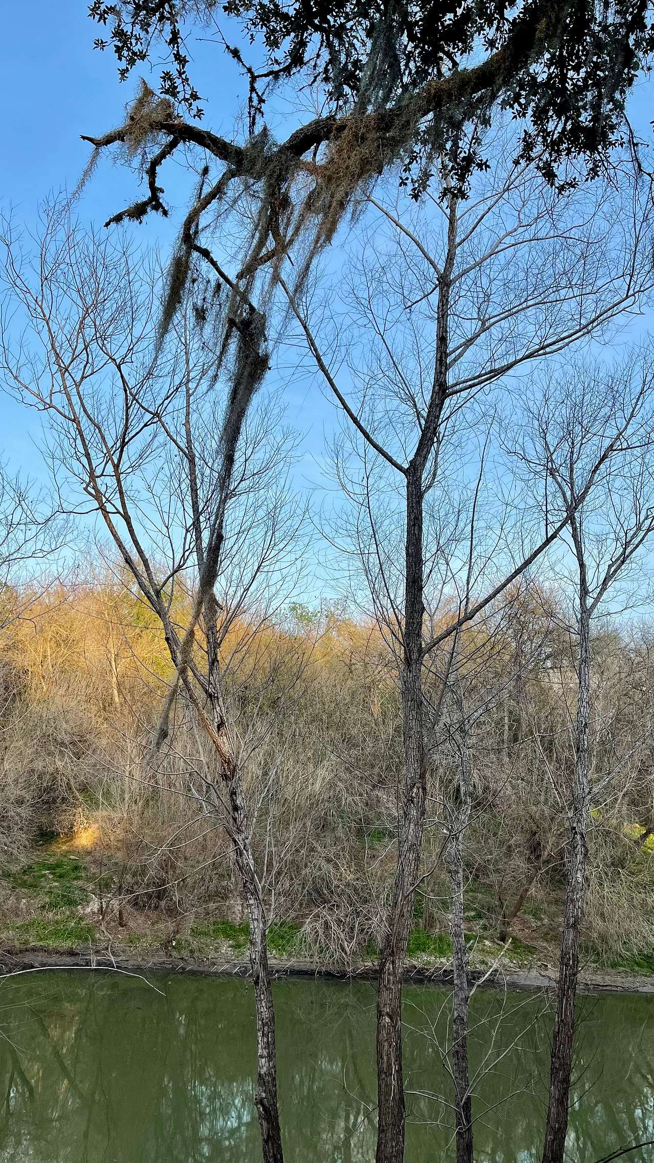 Nueces River Retreat