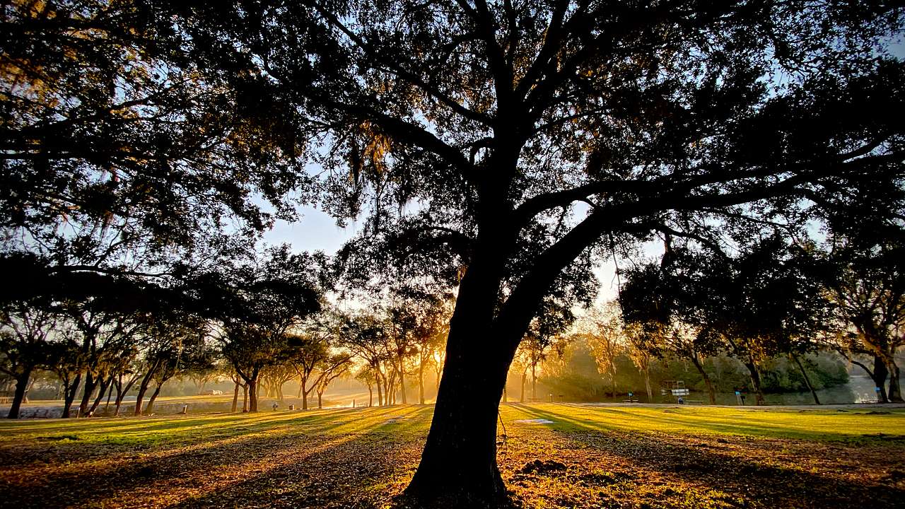 Enjoy breath taking morning views