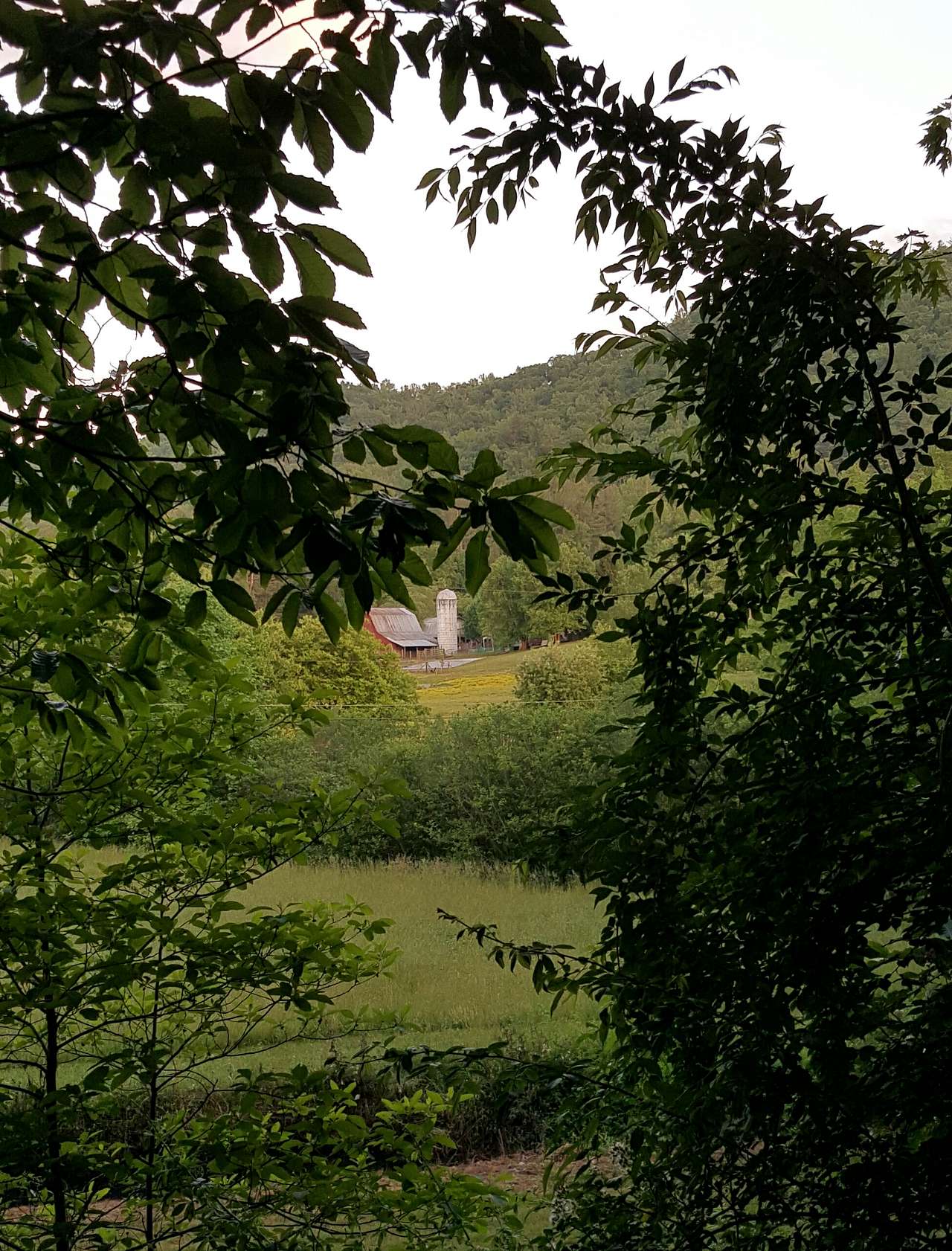Back Yard Campground