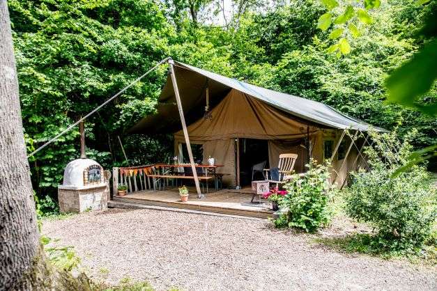 Dernwood Farm Camping & Glamping