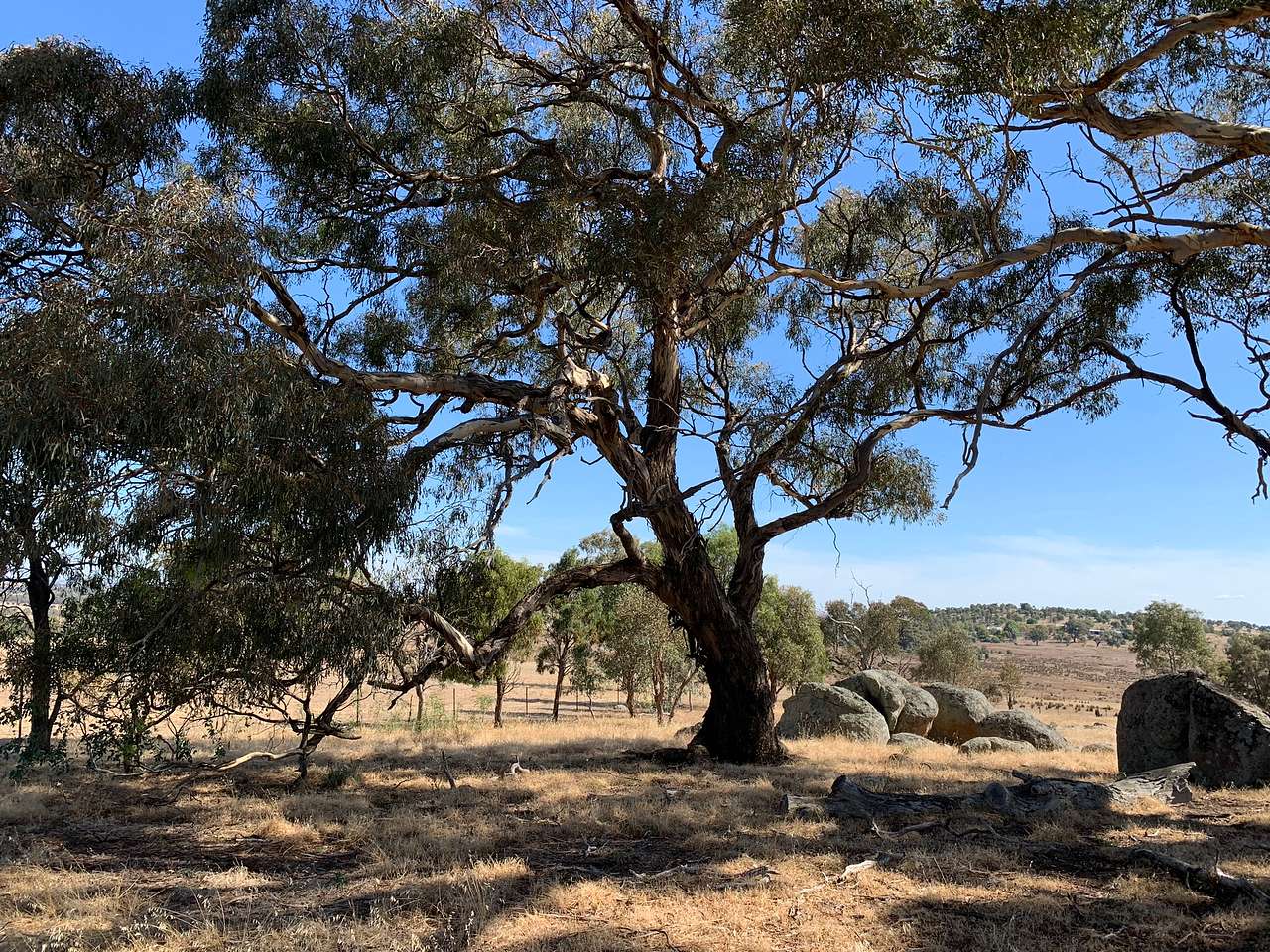Pebbleridge Camp