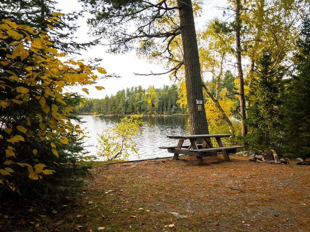 The Lodge of Whispering Pines