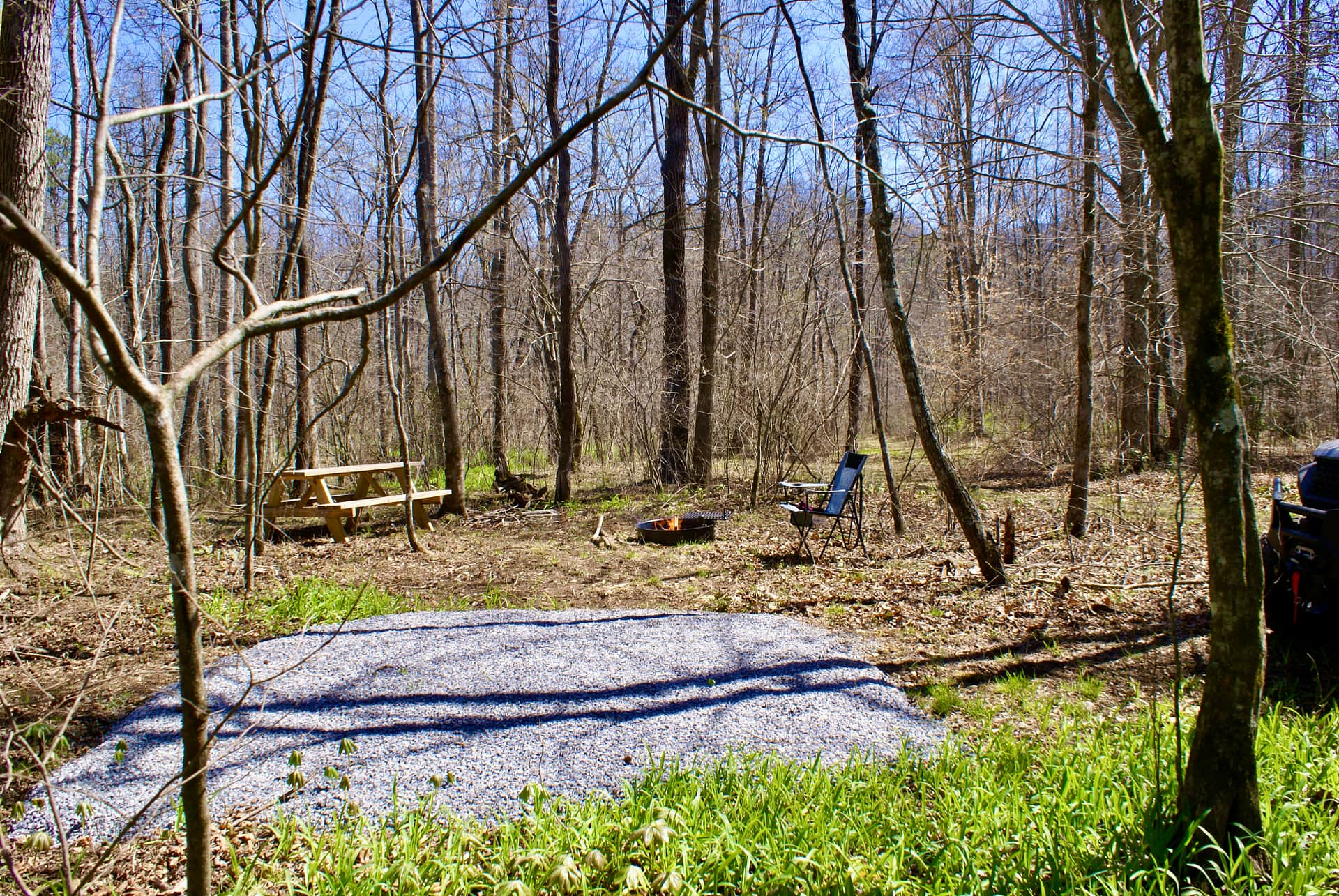 Picture of the site