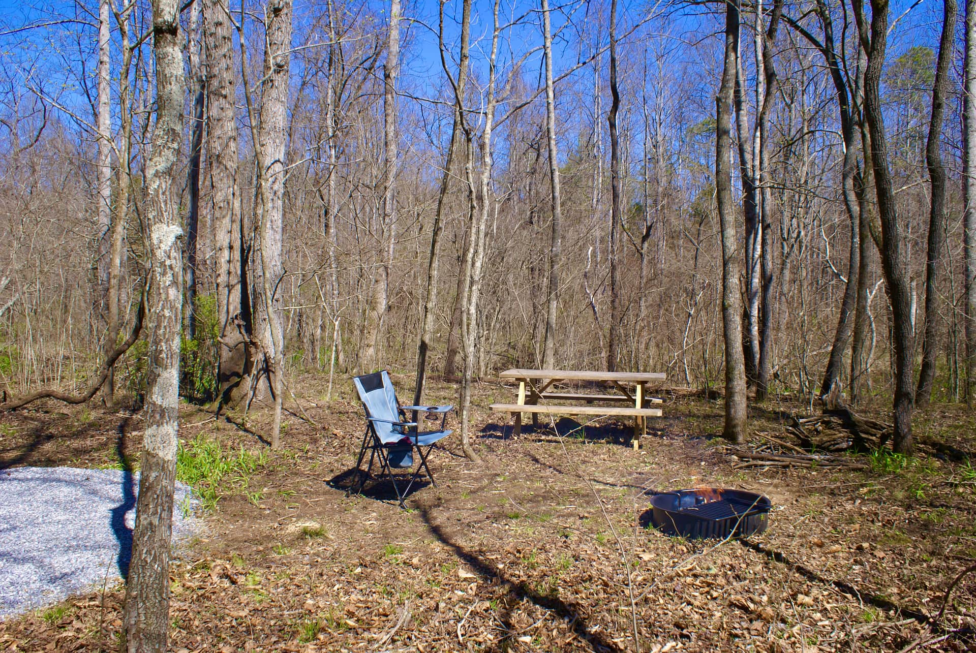 Picture of the site