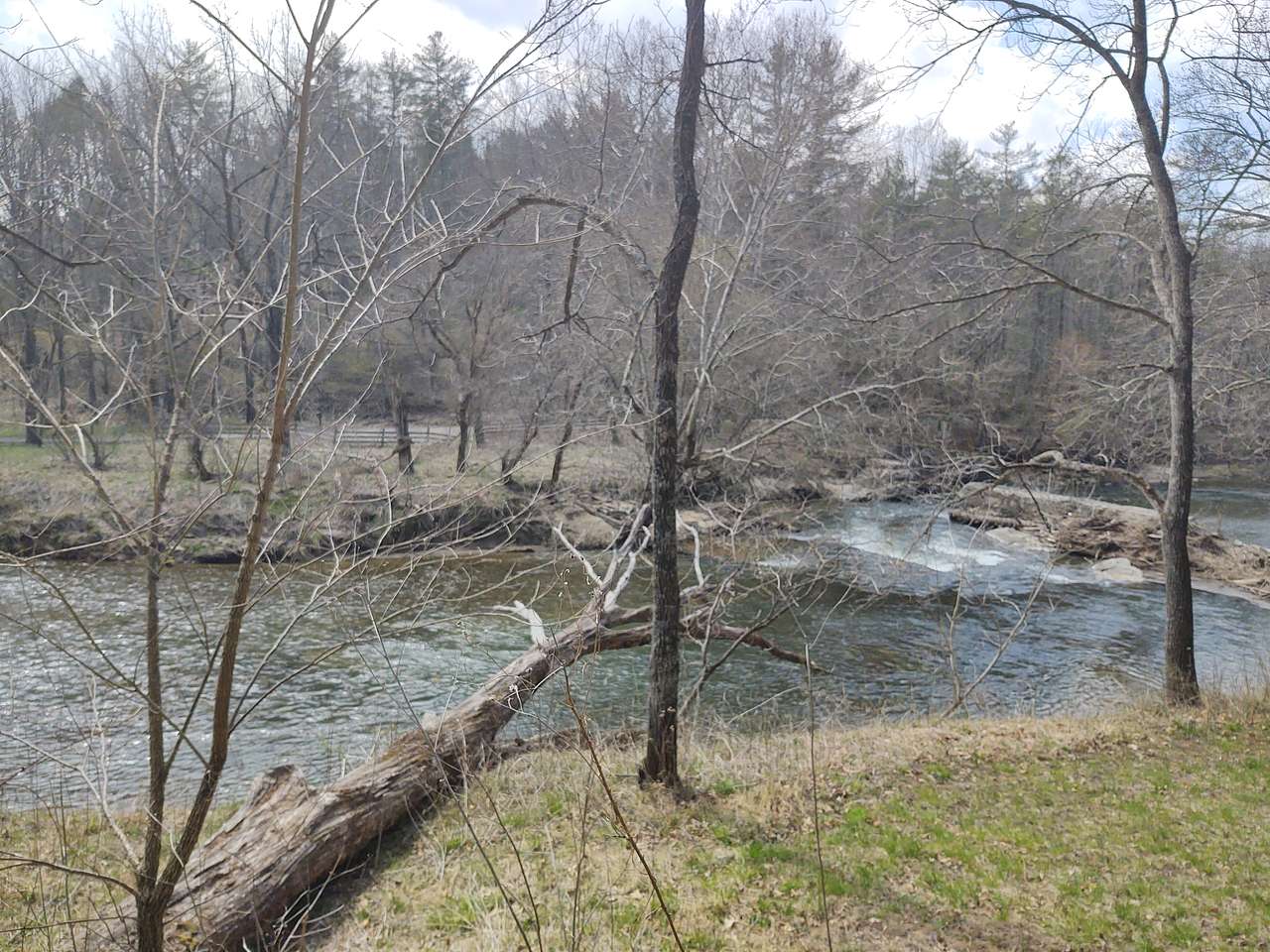 The River's Edge