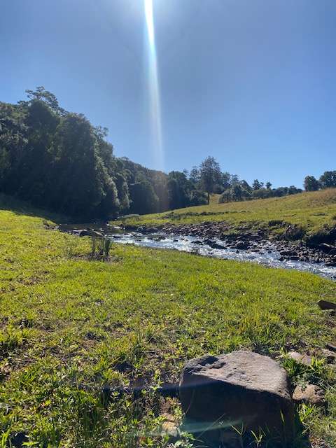 Barachi by the Creek