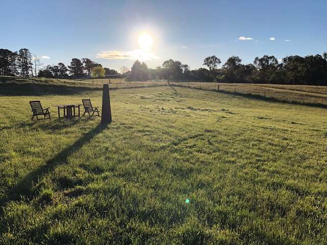 Plain paddock