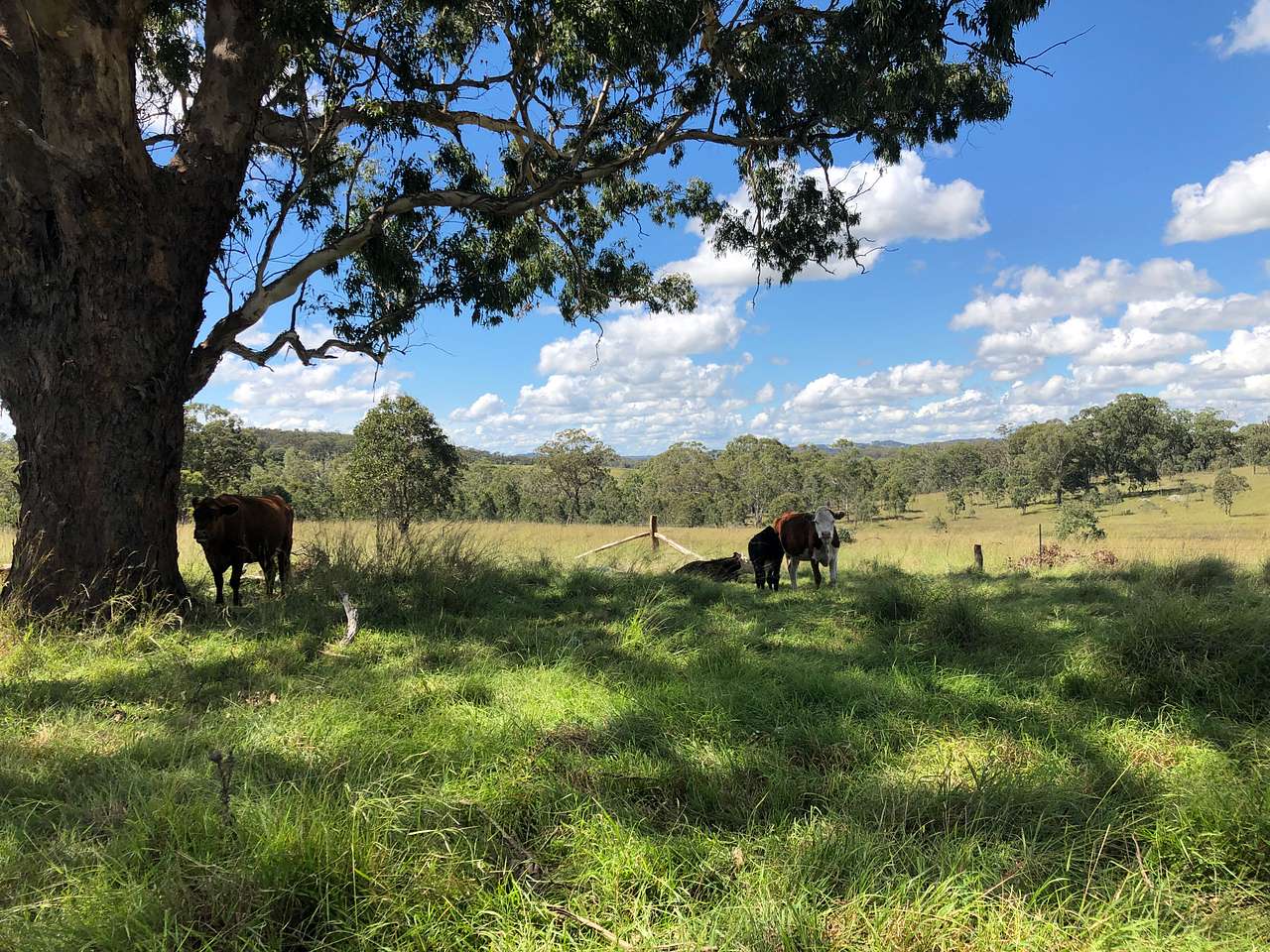 Dalmoak Bush Retreat