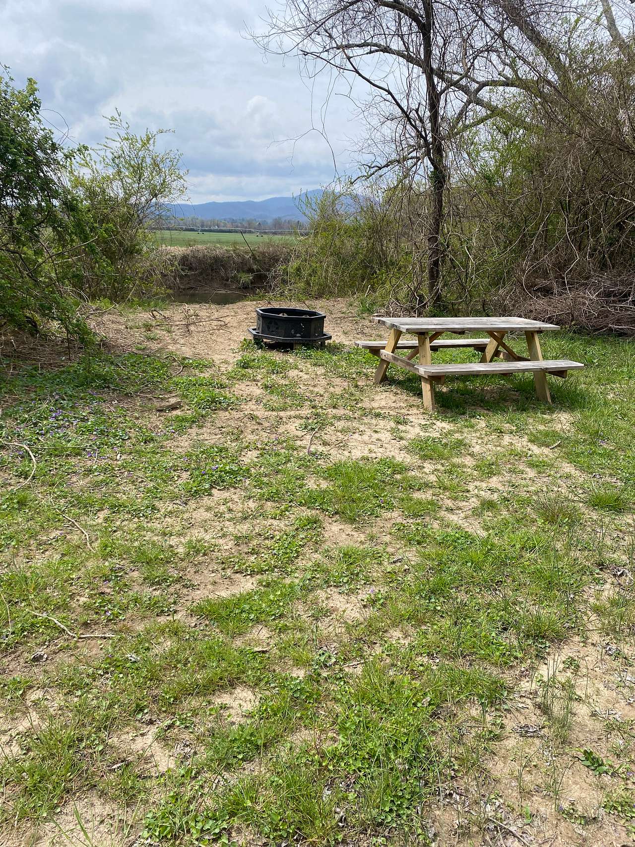 Picture of the site