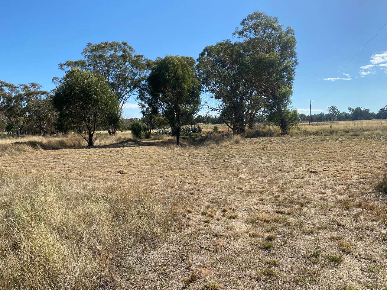 Site 4