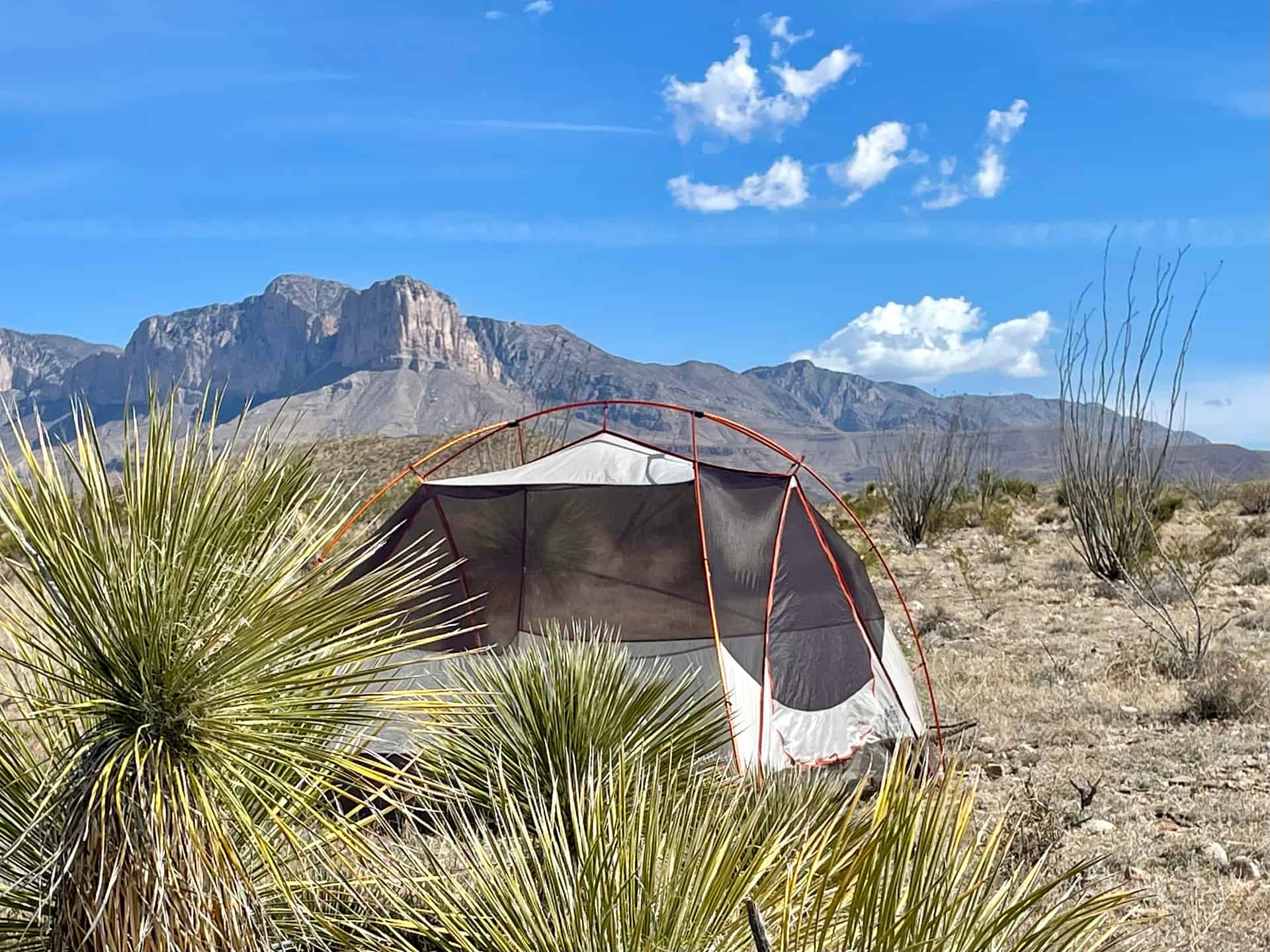 Can't beat that view of the tallest mountain in Texas!