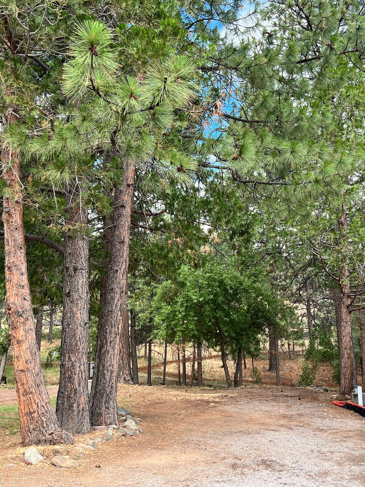 Trailer Lane Campground