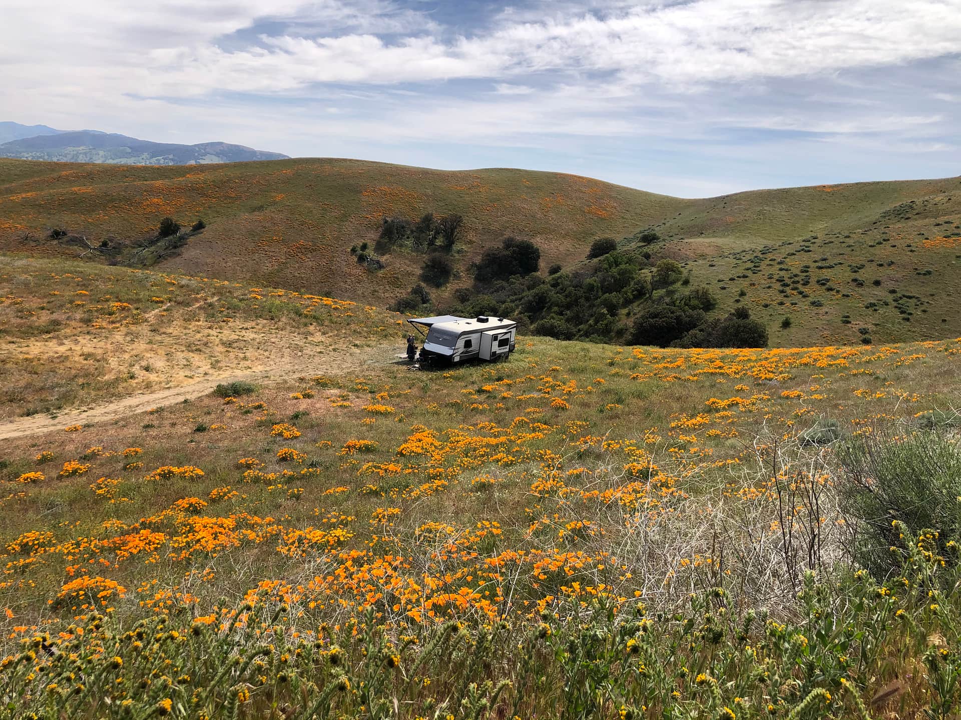 Lone Juniper Ranch