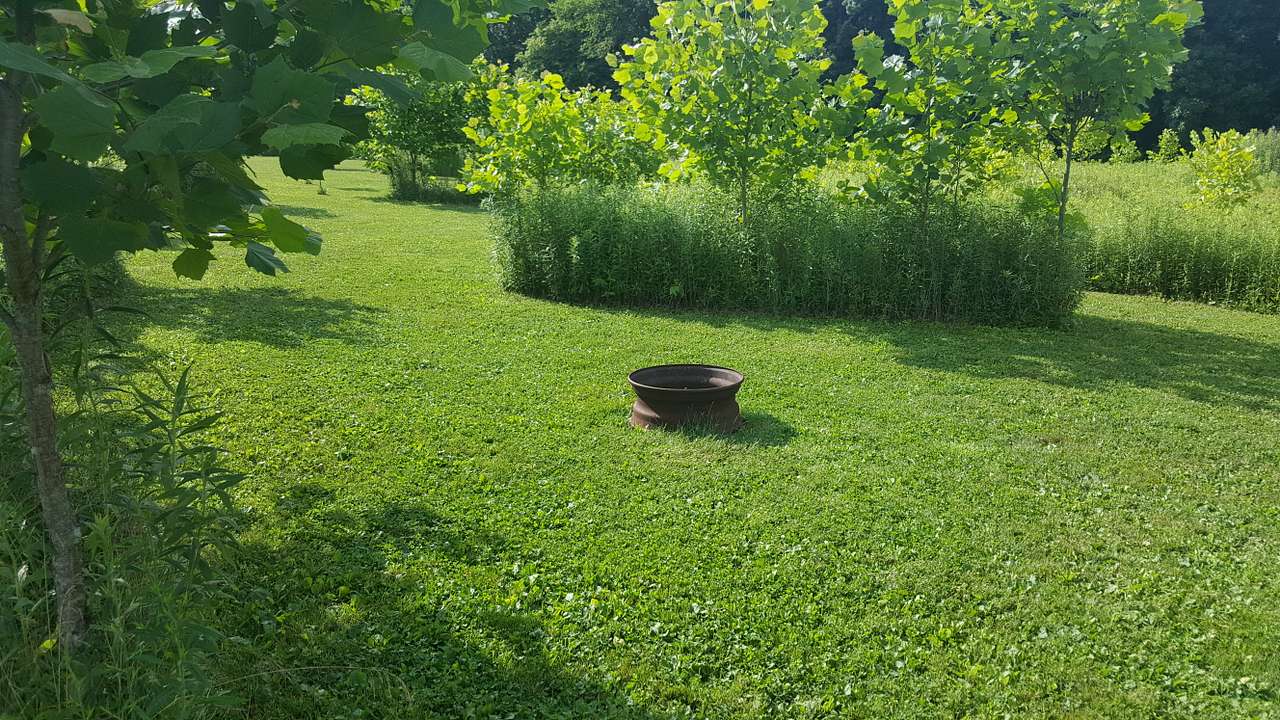 Grins & Pickin's CampFarm