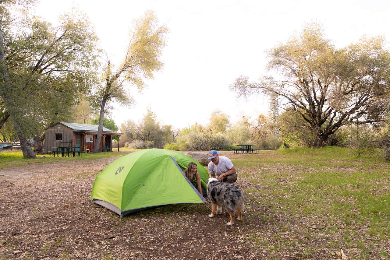 Pine Siskin Tent Campsite