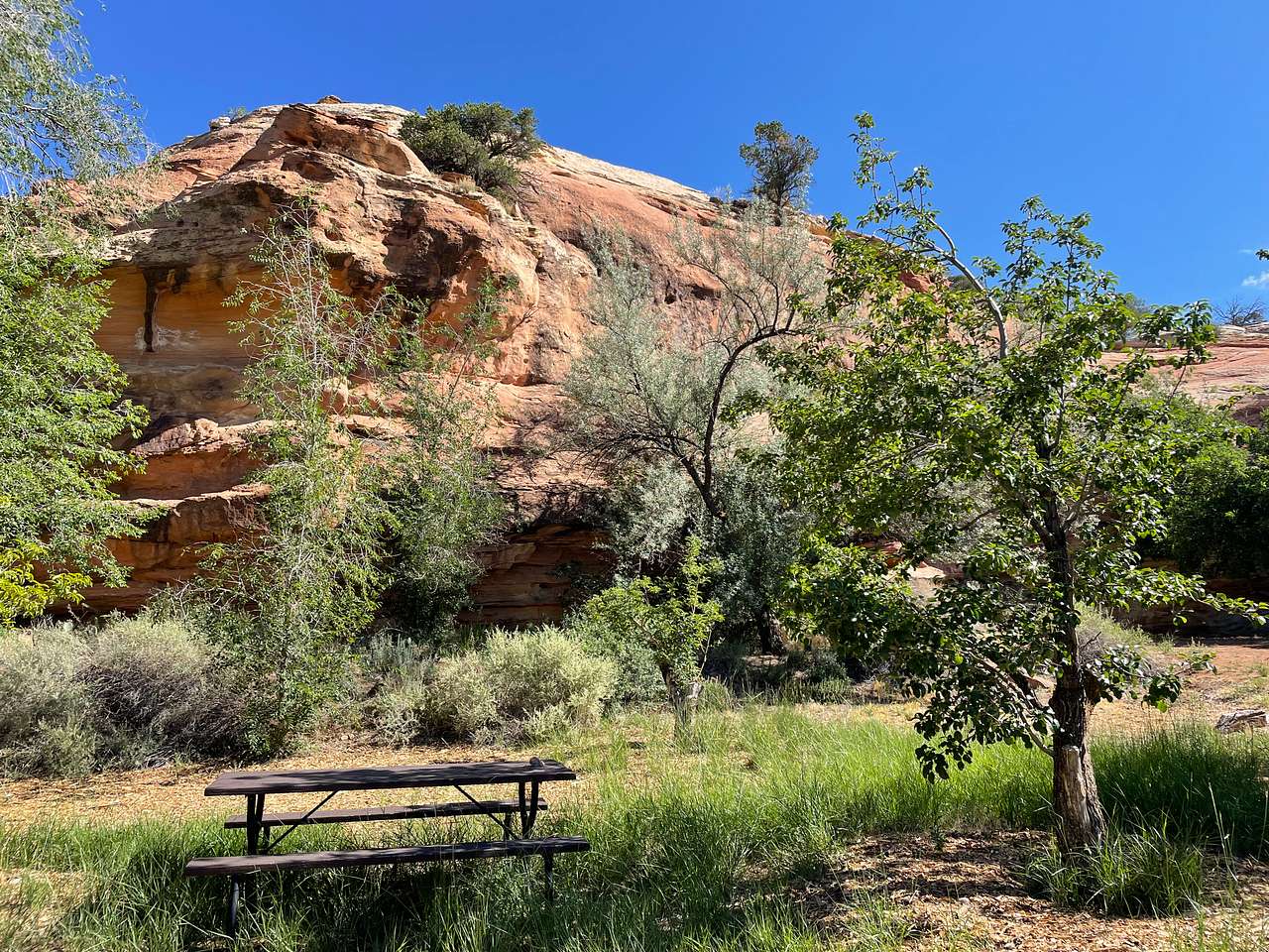 Anasazi Sites @ Ancient Echoes