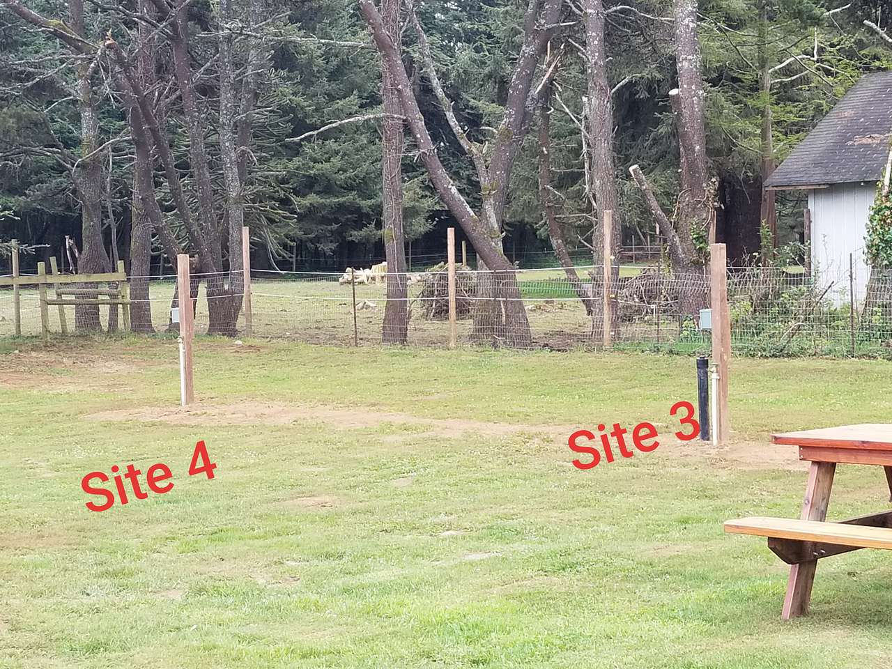 Lower Lake Farm Camp