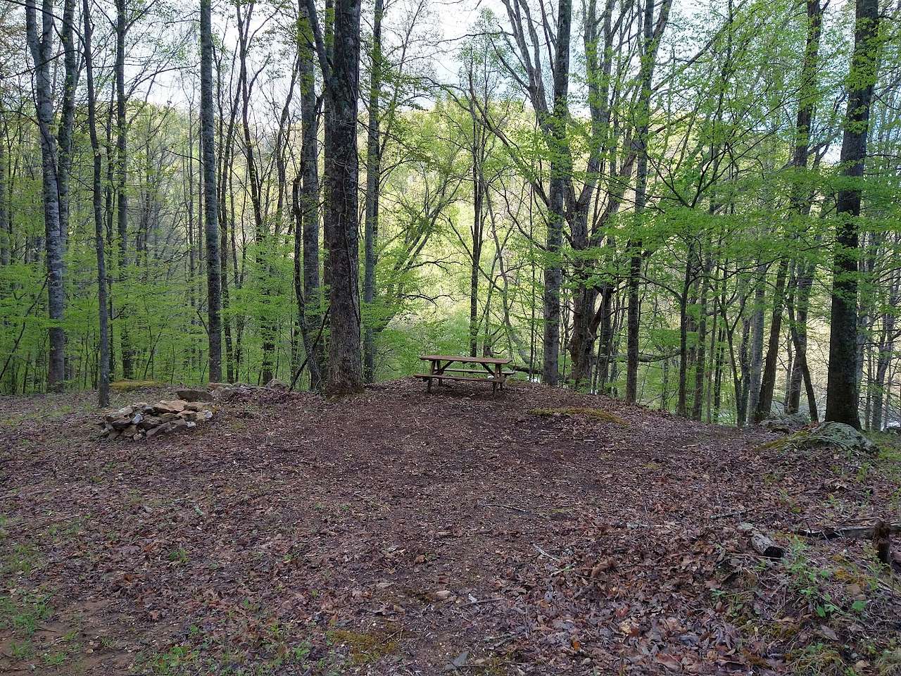Plumtree Campground Tents & Cabins
