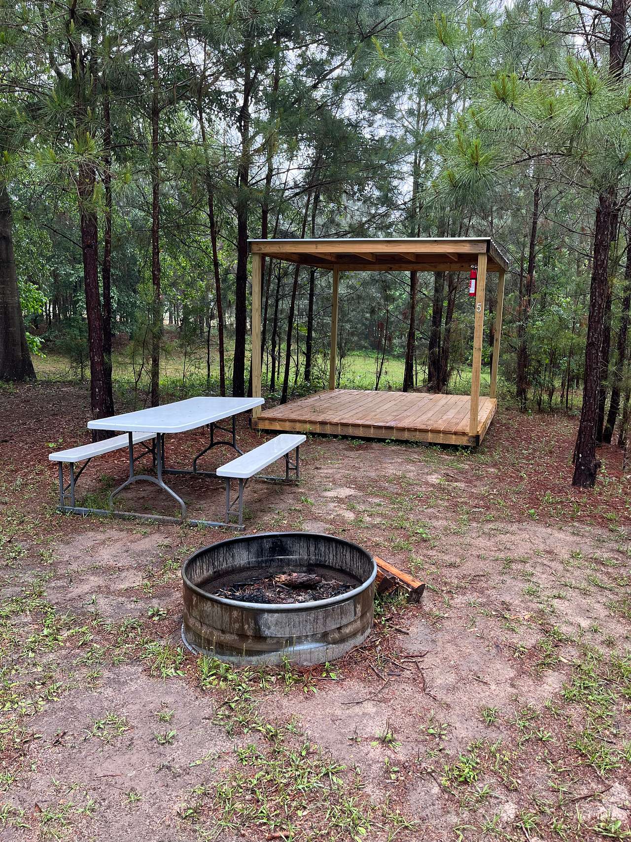 Site 5