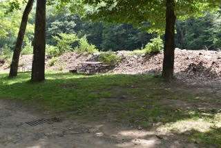 Butternut Grove Camp on the River