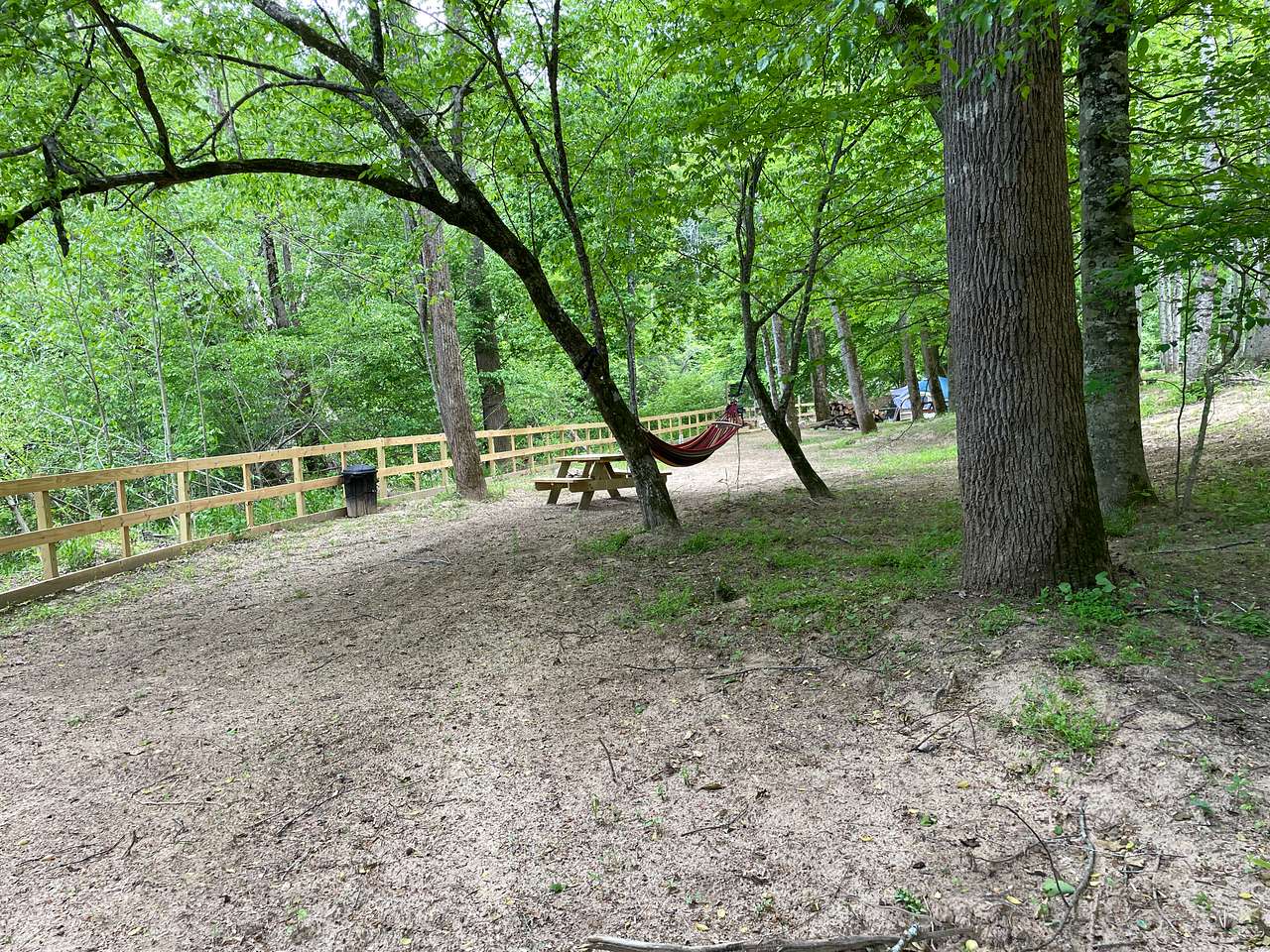 Campsite #2 hammock and picnic table