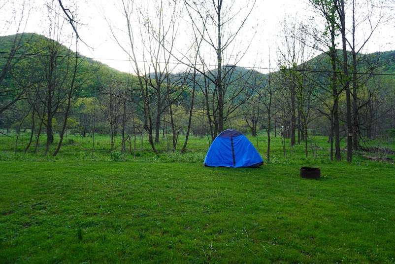 Picture of the site