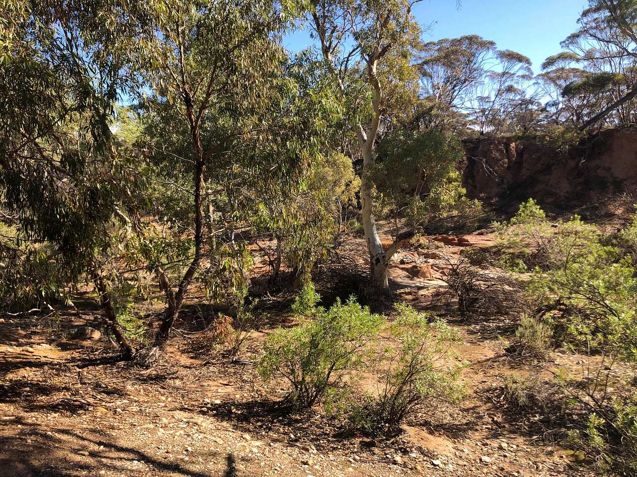Burra Creek Camping