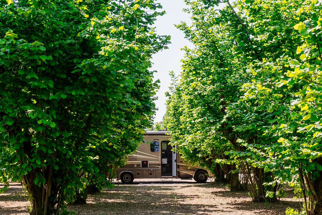 Open your door to the orchard rows